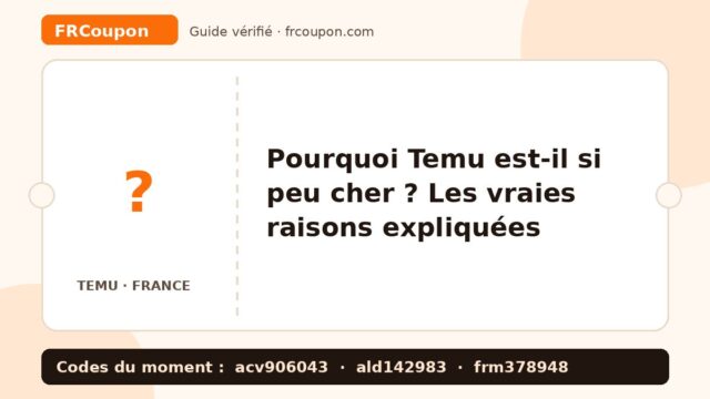 Pourquoi Temu est-il si peu cher ? Les vraies raisons expliquées